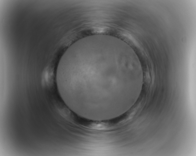 X0000089760557200706211545