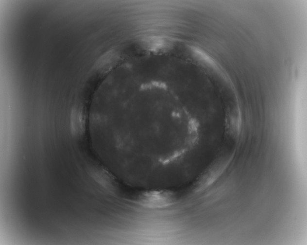 X0000089760558200706211545