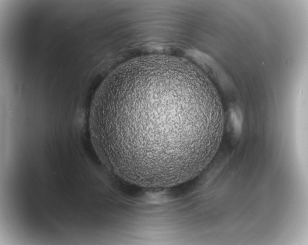 X0000089760560200706211545