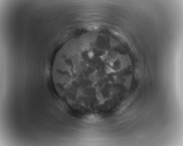 X0000089760561200706211545