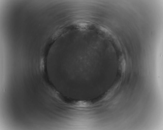 X0000089760562200706211545