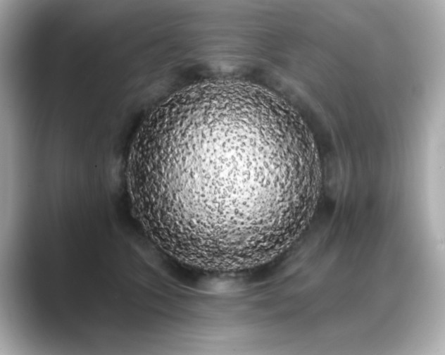 X0000089760563200706211545