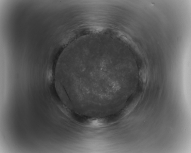 X0000089760564200706211545