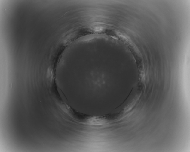 X0000089760568200706211545