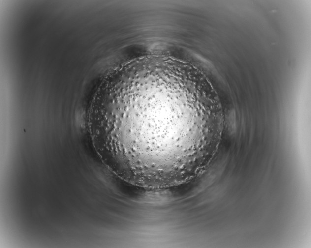 X0000089760571200706211545
