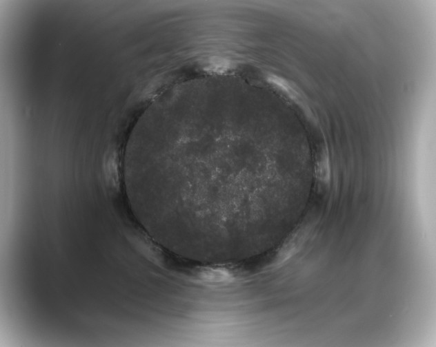 X0000089760572200706211545