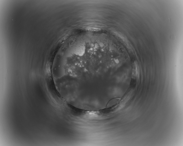 X0000089760573200706211545