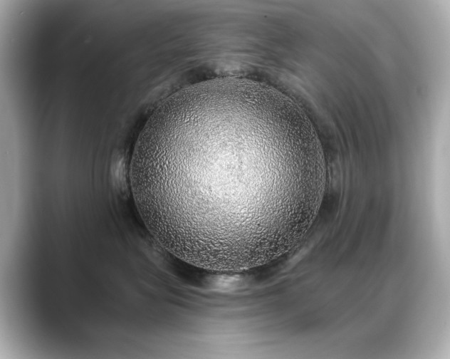 X0000089760575200706211545