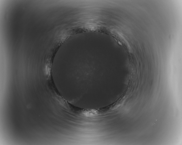 X0000089760576200706211545