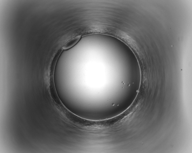 X0000089760578200706211545
