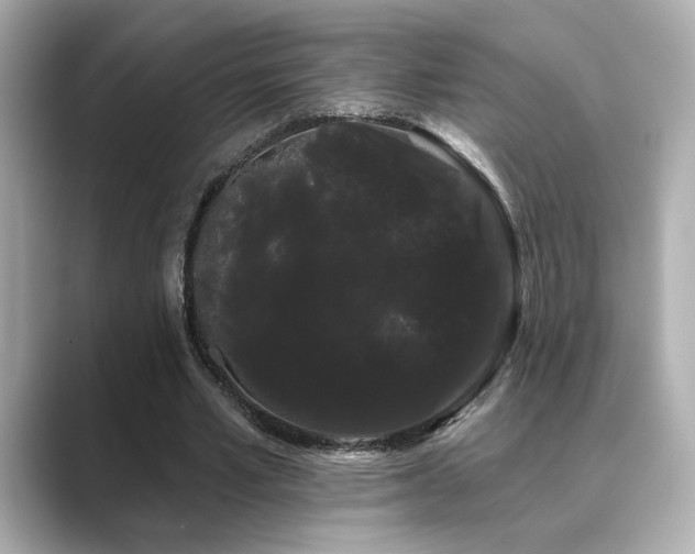 X0000089760581200706211545