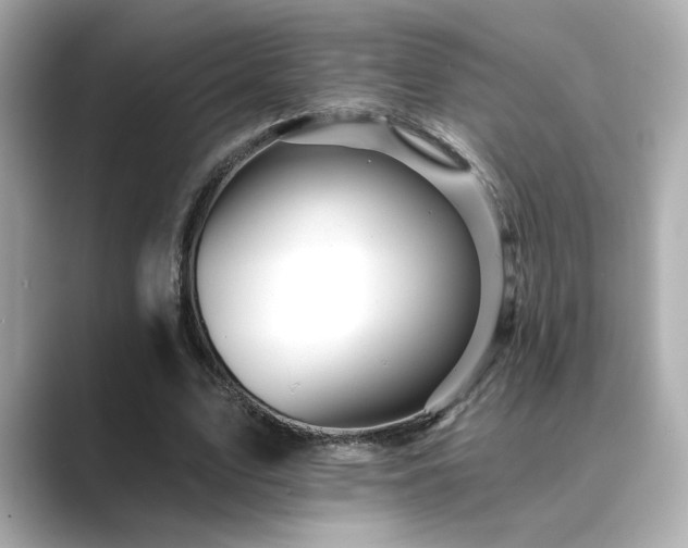 X0000089760583200706211545