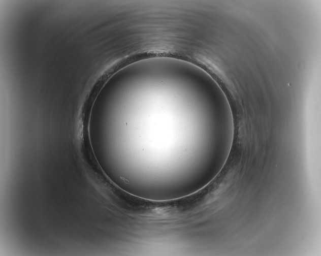 X0000089760584200706211545