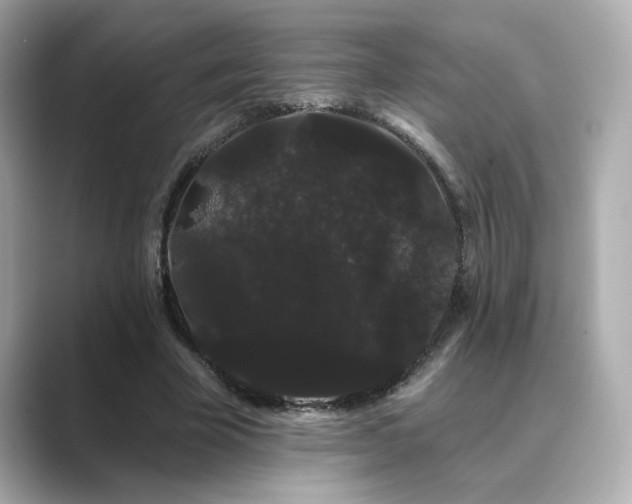 X0000089760585200706211545