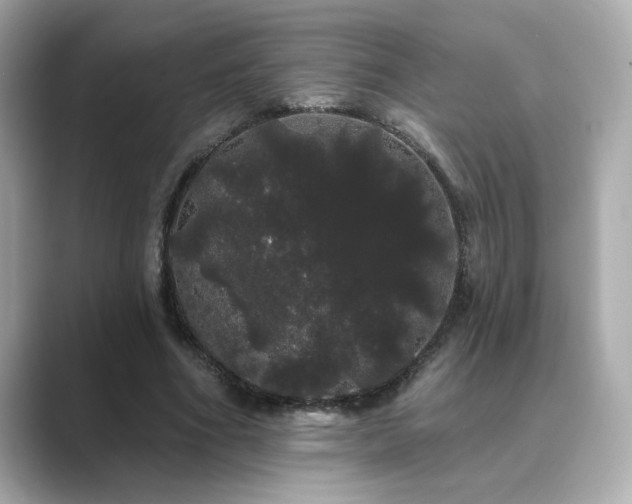 X0000089760586200706211545