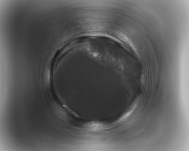 X0000089760589200706211545