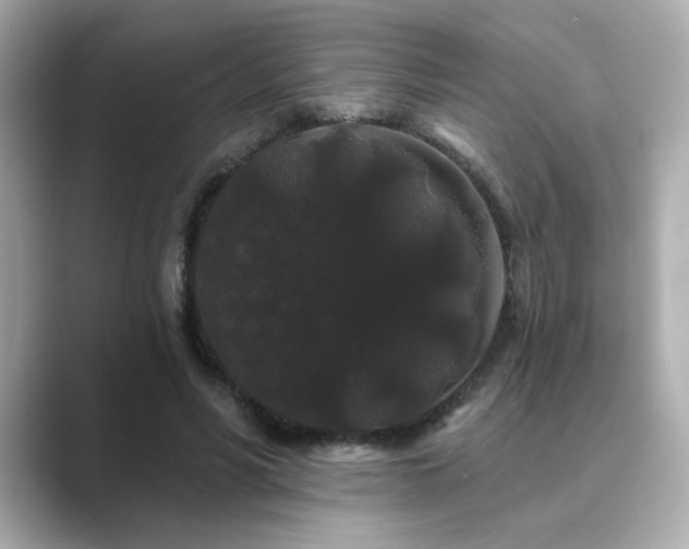 X0000089760590200706211545