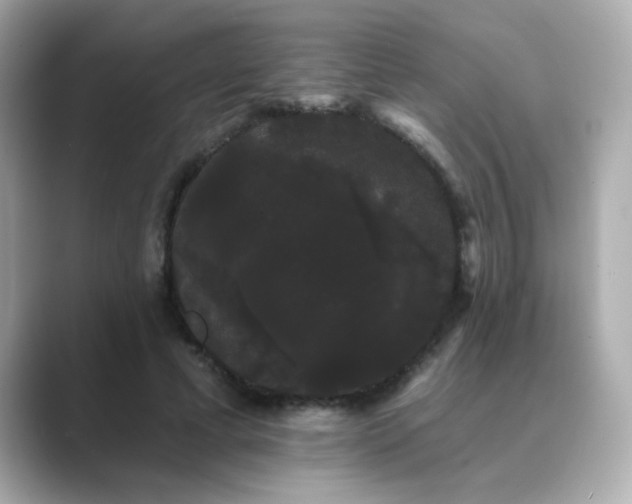 X0000089760593200706211545