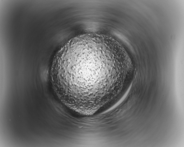 X0000089760596200706211545