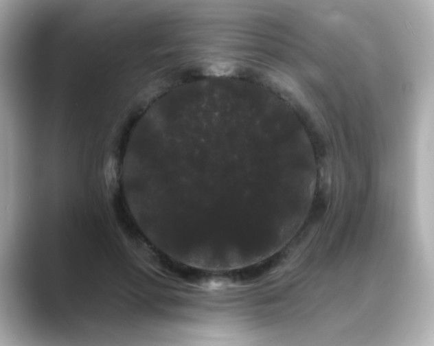 X0000089760598200706211545