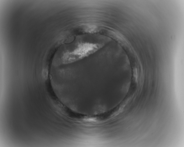 X0000089760602200706211545