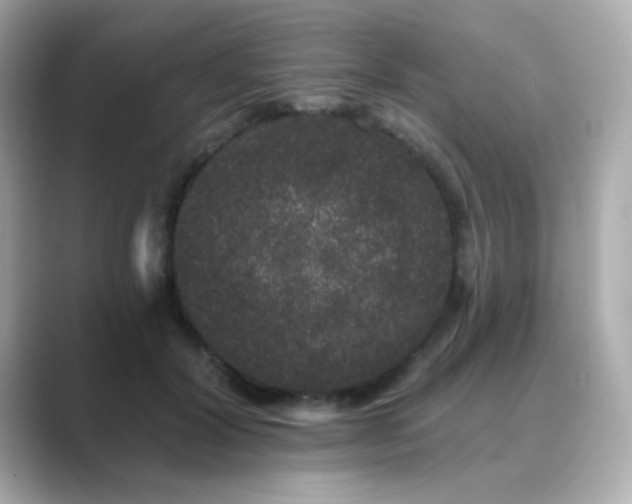 X0000089760604200706211545
