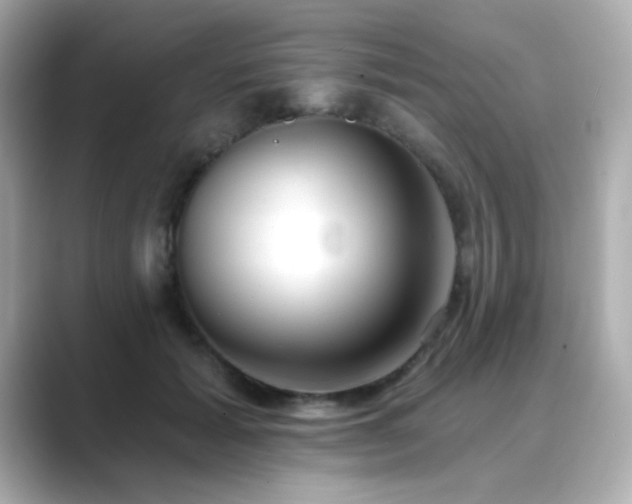 X0000089760605200706211545