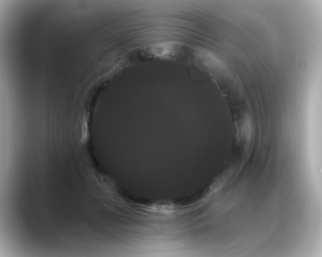 X0000089760606200706211545