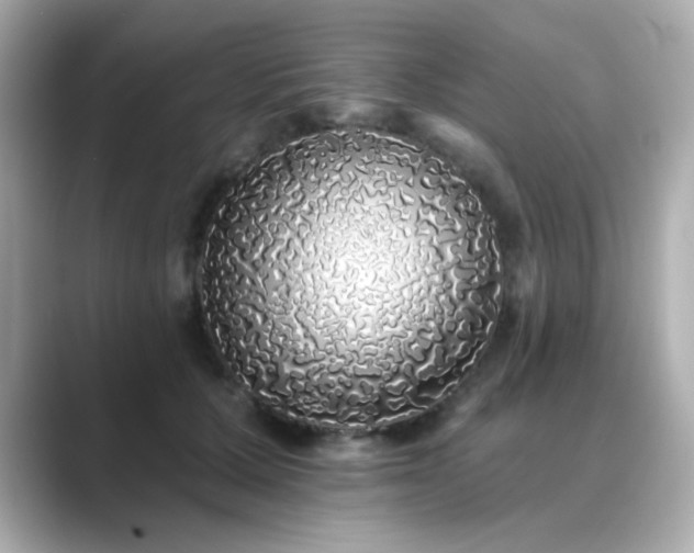 X0000089760607200706211545