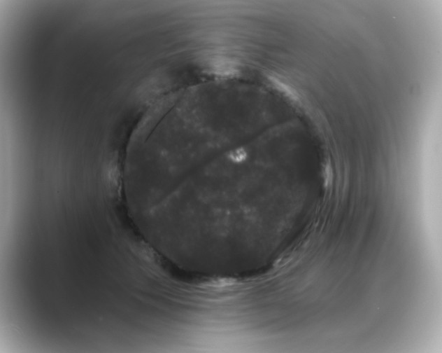 X0000089760609200706211545