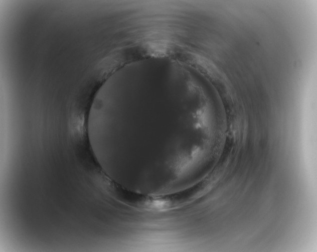 X0000089760610200706211545