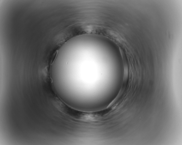 X0000089760611200706211545