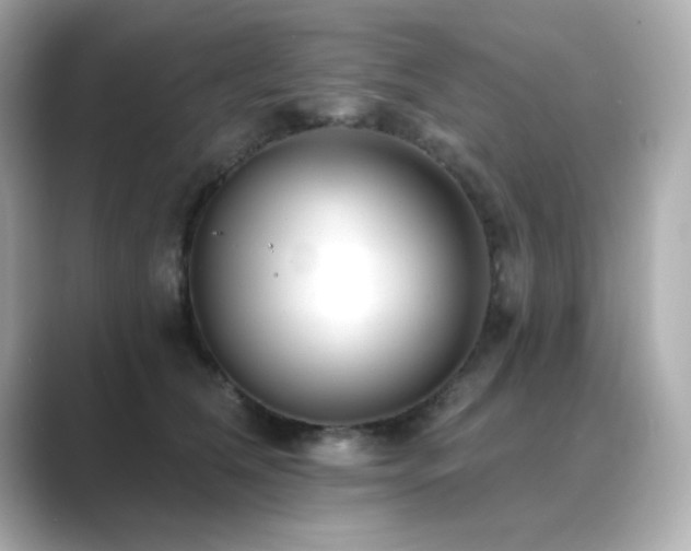 X0000089760612200706211545