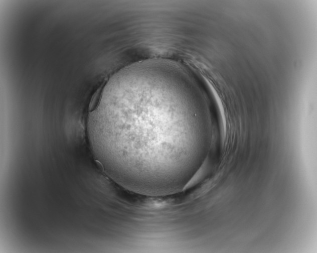X0000089760613200706211545