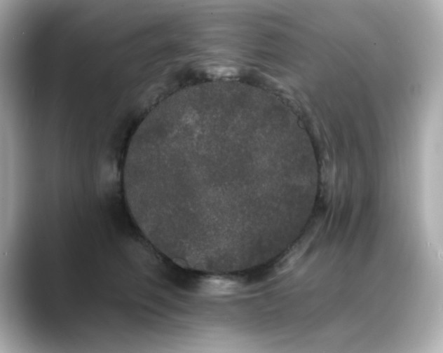 X0000089760614200706211545