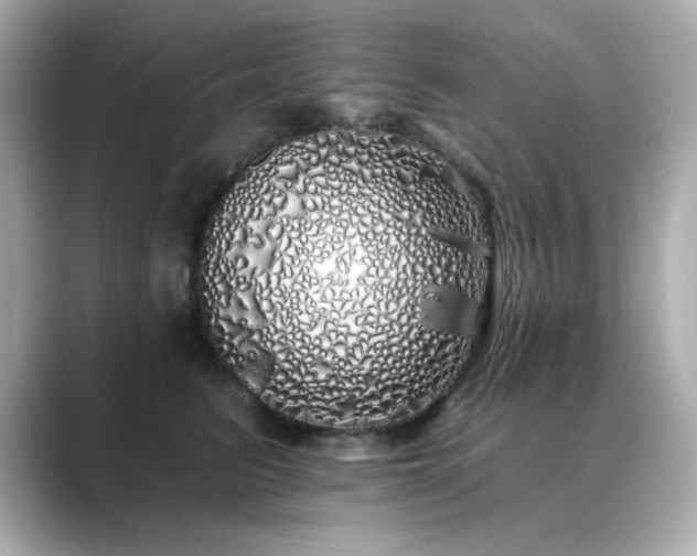 X0000089760615200706211545
