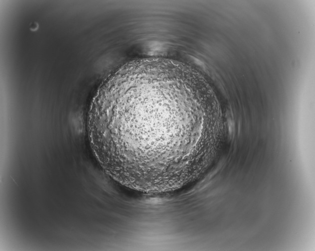 X0000089760620200706211544