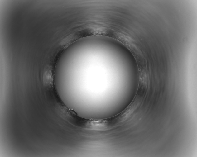 X0000089760622200706211544