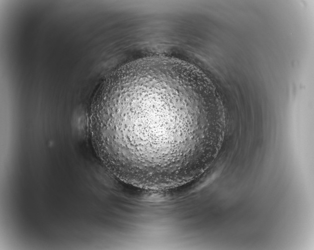 X0000089760624200706211544
