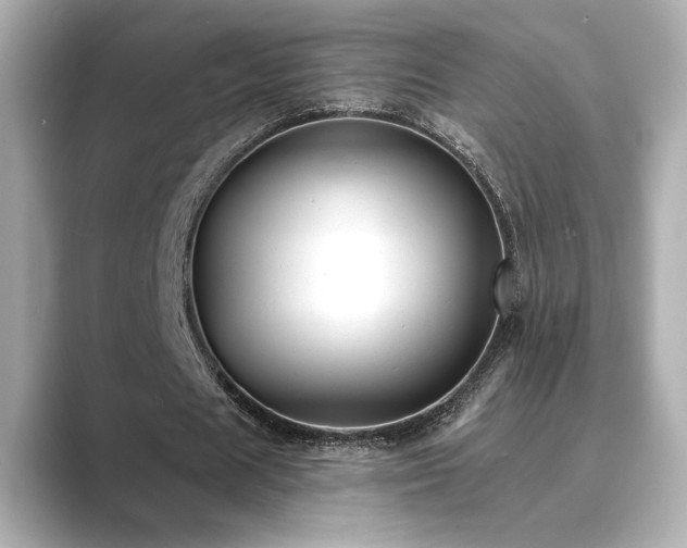 X0000089760625200706211544