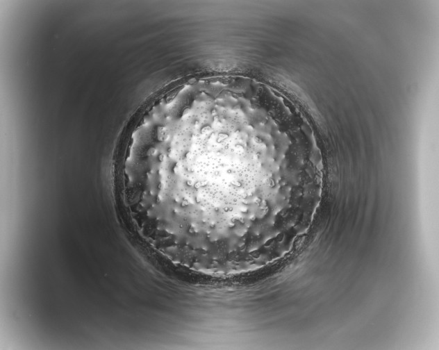 X0000089760626200706211544