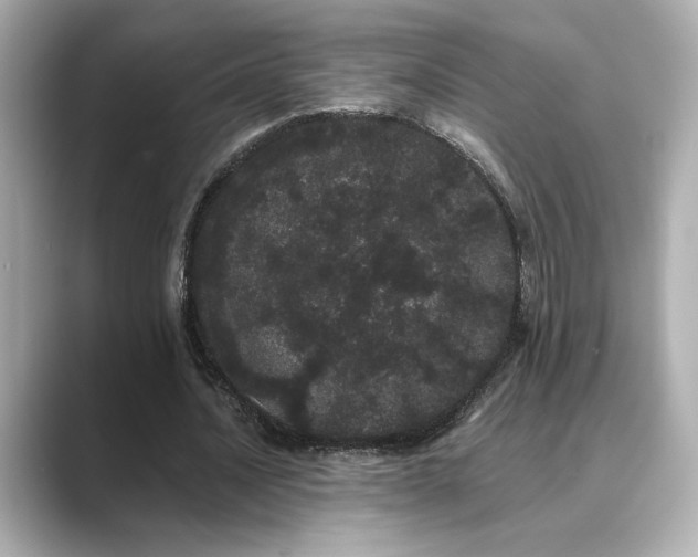X0000089760628200706211544