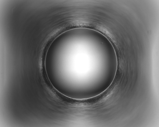 X0000089760629200706211544