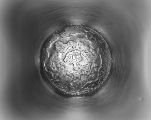 X0000089760630200706211544