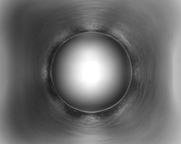 X0000089760635200706211544