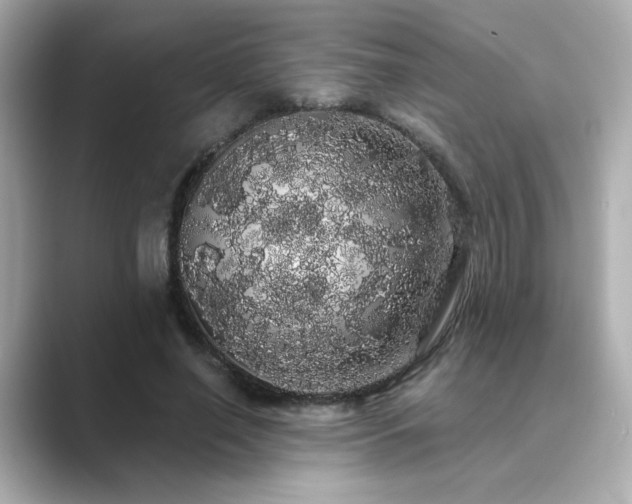 X0000089760638200706211544