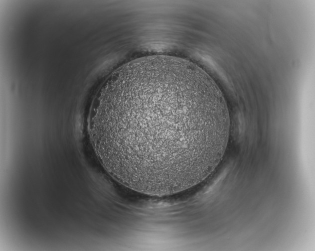 X0000089760640200706211544
