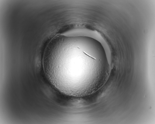 X0000089760642200706211544