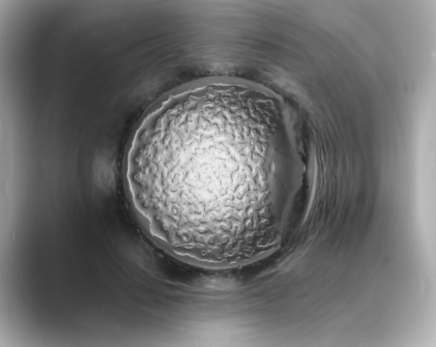 X0000089760644200706211544