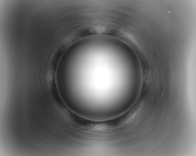 X0000089760645200706211544